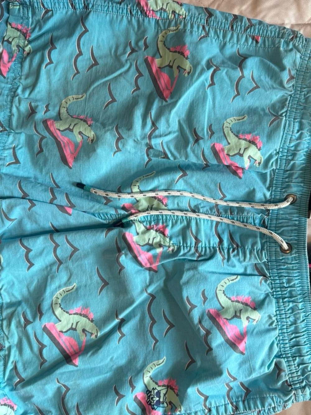 Men's Party Pants Teal Dino Print Swim Trunks